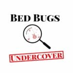bed bugs under cover