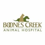 Boones Creek Animal Hospital