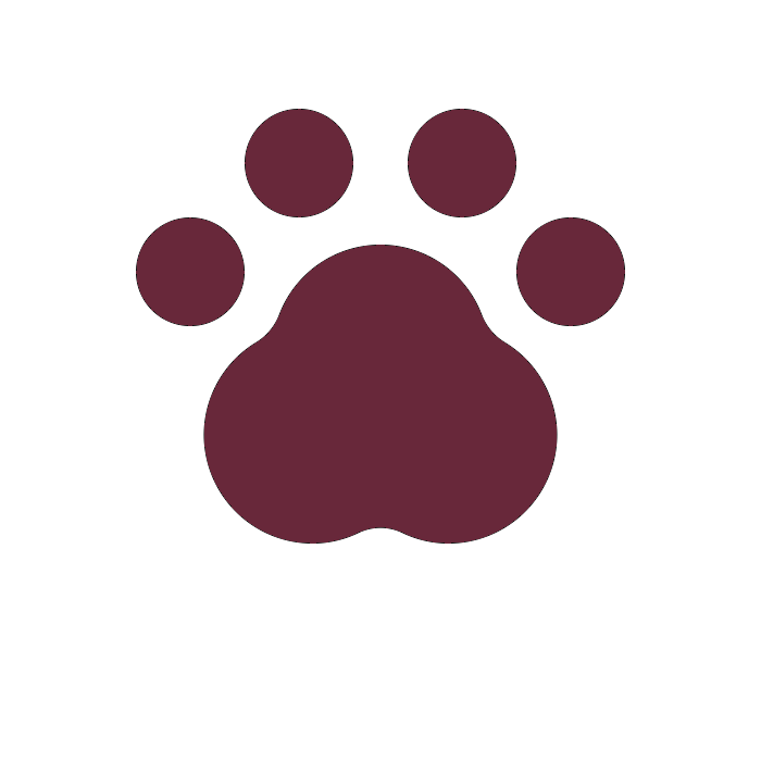 Pets & Vets