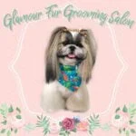 Glamour Fur Grooming Salon Glamour Fur Grooming Salon