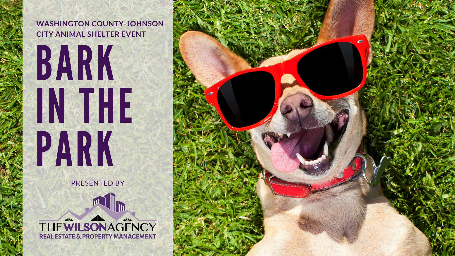 Bark in the Park at Founder's Park Pavillion 1 Bark in the Park at Founder's Park Pavillion 1
