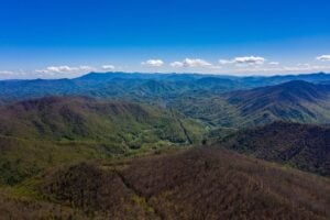 Beauty Spot by Nathan Metcalf